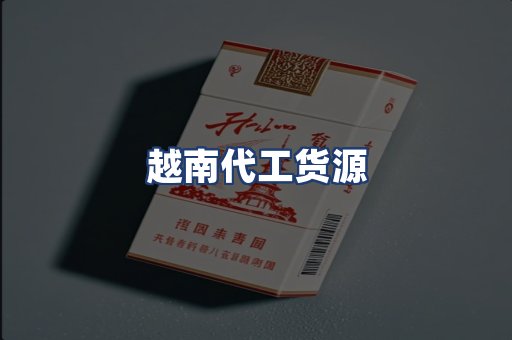 越南代工货源